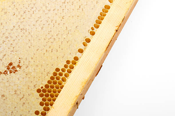 istock honeycomb honey in a wooden frame 598566472