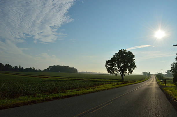 istock Country road in early morning 598566634