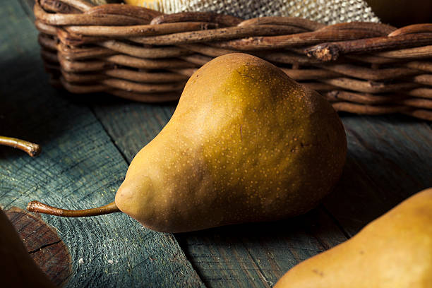 istock Raw Organic Green and Brown Bosc Pears 598567186