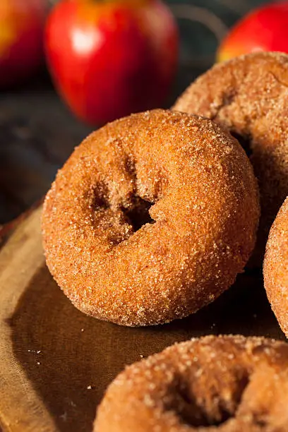 Homemade Sugared Apple Cider Donuts with Cinnamon