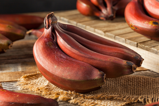 Raw Organic Red Bananas in a Bunch