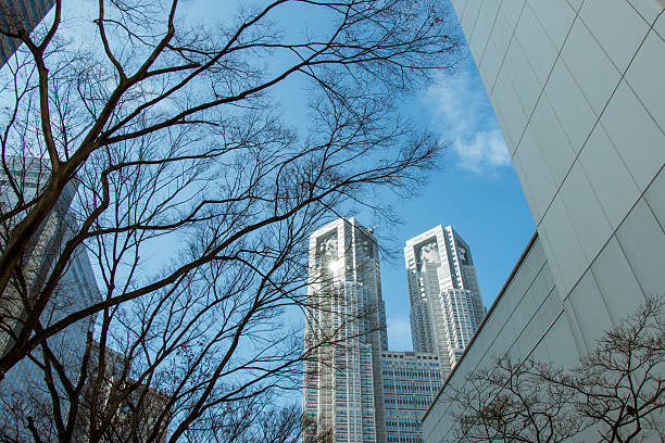 istock Branches silhouette in park with modern buildings 598568930