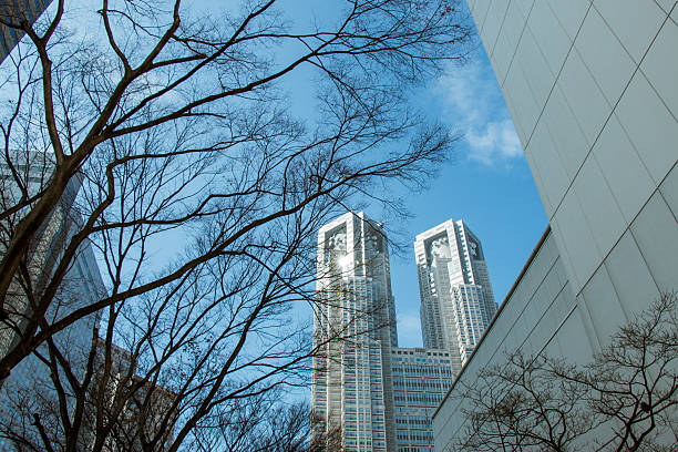 istock Branches silhouette in park with modern buildings 598568980