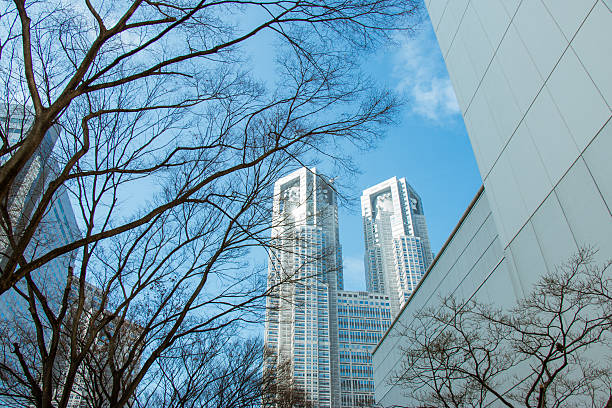Branches silhouette in park with modern buildings