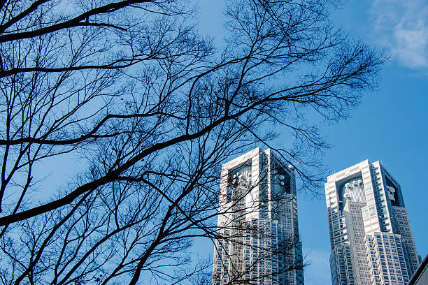 istock Branches silhouette in park with modern buildings 598569210