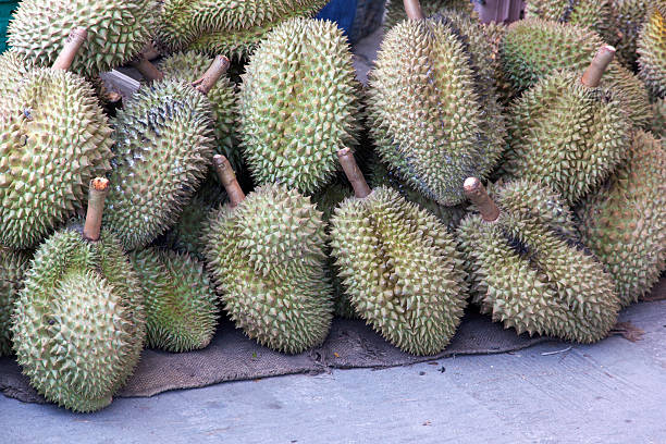 istock durian king of fruit 598572840