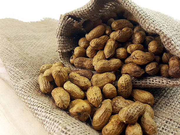 istock Peanut or groundnut pour out of hemp sack. 598666248