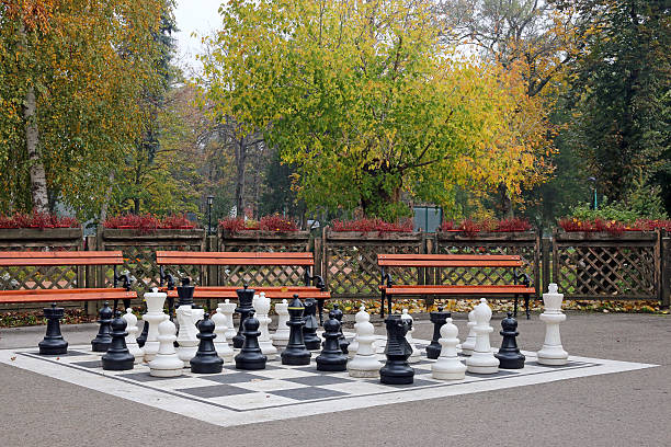 istock chess figures in park autumn 598676622
