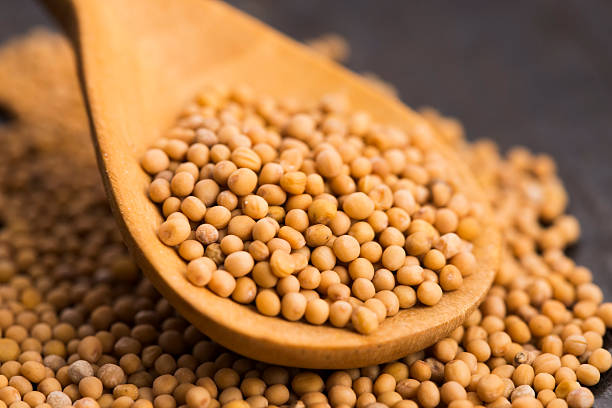 istock Spicy mustard seeds in a wooden background 598679848