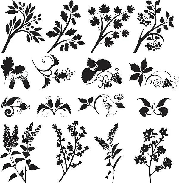 Vector illustration of Berries and branches