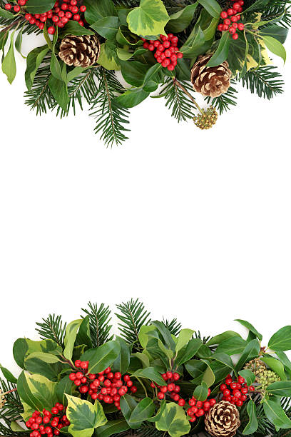 istock Winter Border with Holly and Flora 598681420