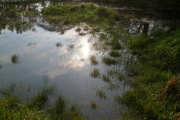 istock reflection of sky and clouds in water 598682216