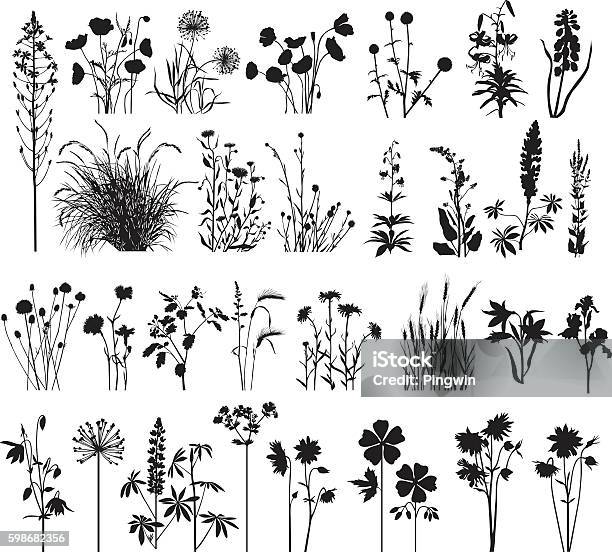 Collection De Big Plant Vecteurs libres de droits et plus d'images vectorielles de Silhouette - Contre-jour - Silhouette - Contre-jour, Fleur - Flore, Flore