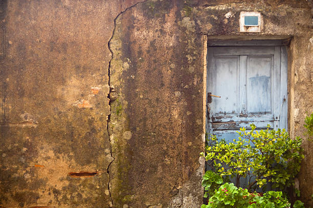 Door of an old cottage, cracked wall, almost ruined building needing restoration, bush growing just outside the front door.
