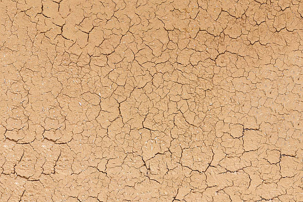 istock Cracked soil dry earth texture or cracked soil background. 598686460