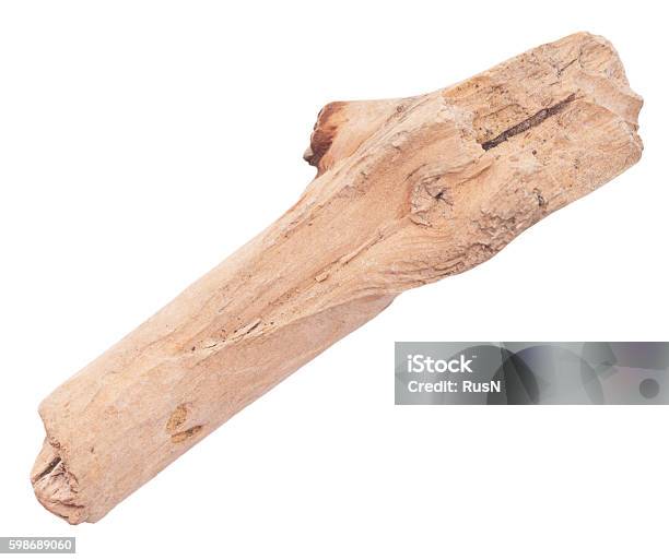 Stick On White Stock Photo - Download Image Now - Branch - Plant Part, Dry, Extreme Close-Up