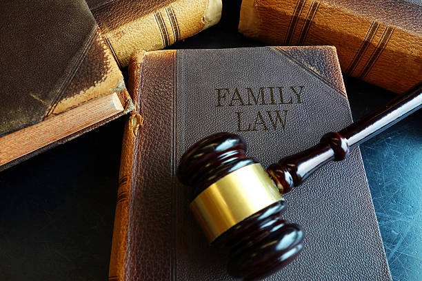 Family Law book Family Law book with legal gavel family lawyer stock pictures, royalty-free photos & images