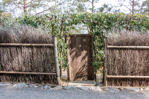 japanese old style door, pot of tree put in front of the door.