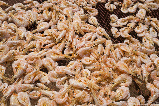 Close up of sun rdied seafood, traditional preserved food:  Dried Shrimps for making Asian cuisines, Songkhla, Thailand
