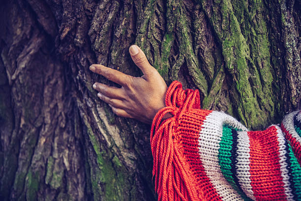istock womans arms in colorful poncho embracing old tree 598695438