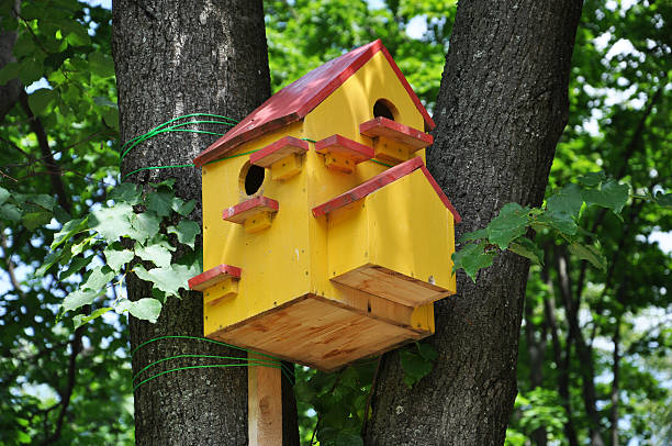 istock multi-family birdhouse 598696758