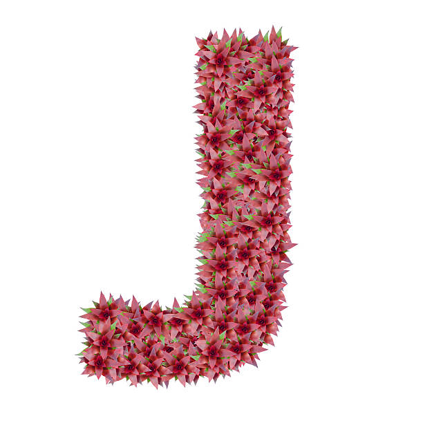 letter J made from bromeliad flowers isolated on white background