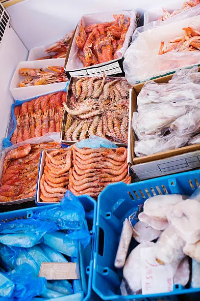 Photo of Chilled Mediterranean seafoods close up on counter