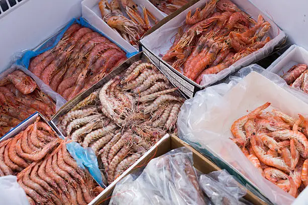 Photo of Chilled Mediterranean seafoods close up on counter