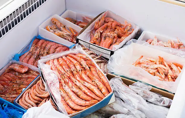 Photo of Chilled Mediterranean seafoods close up on counter