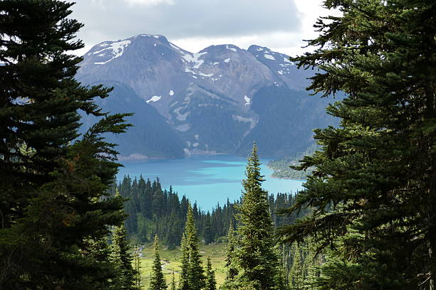 istock Turquoise Blue Lake in the distance 598701748