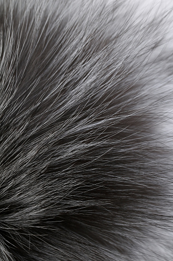 fox fur detail