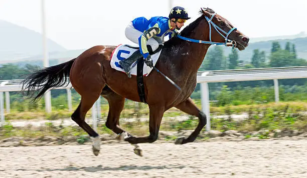 Horse race for the traditional prize Ogranichitelni in Pyatigorsk,the largest in Russia.