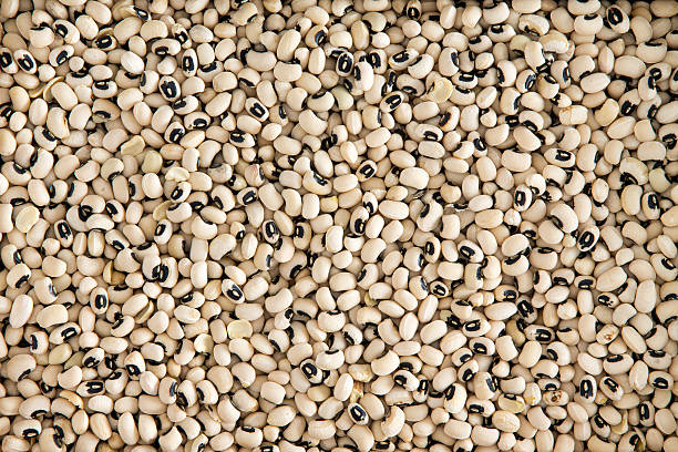 Background texture of black-eyed beans