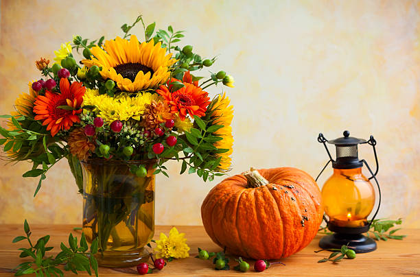 autumn flowers and pumpkin - single flower bouquet flower holidays and celebrations imagens e fotografias de stock