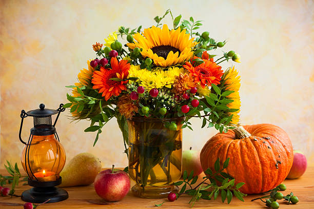fleurs d’automne et citrouille - single flower flower autumn pumpkin photos et images de collection