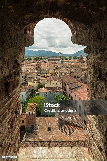 View From Torre Dei Guinigi Lucca Tuscany Stock Photo - Download Image Now - Lucca, Italy, Architecture