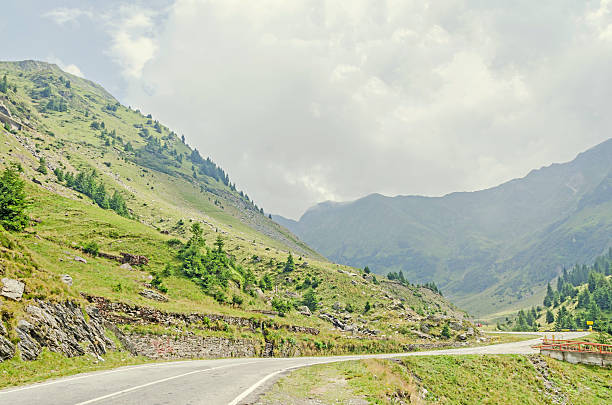 istock Carpathian mountains, Fagaras hills with green forest pines 598710576