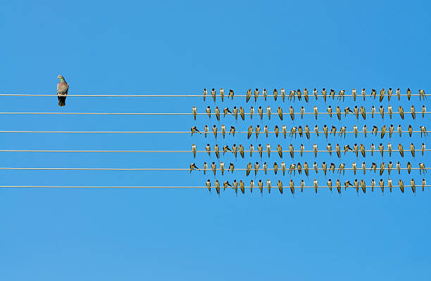 istock Individuality concept, birds on a wire 598710726