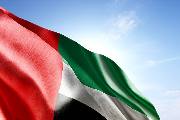 drapeau des émirats arabes unis et agités par le vent - flag of the united arab emirates photos et images de collection