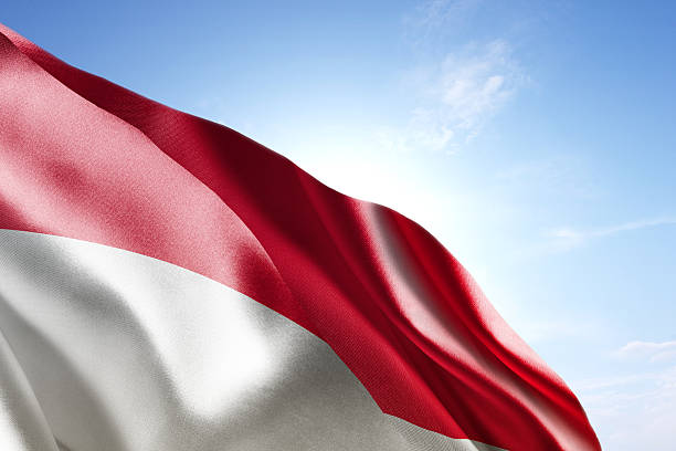 旗を振るインドネシア風に - インドネシア国旗 ストックフォトと画像