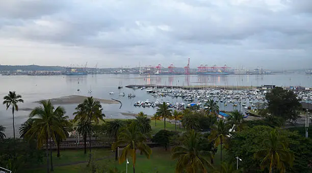 City Harbour View with aughts, palm trees and the harbour skyline.