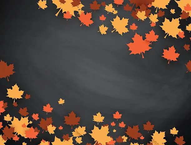 Vector illustration of Blackboard and maple leafs