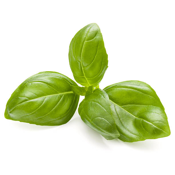 istock Sweet basil herb leaves isolated on white background closeup 598717764
