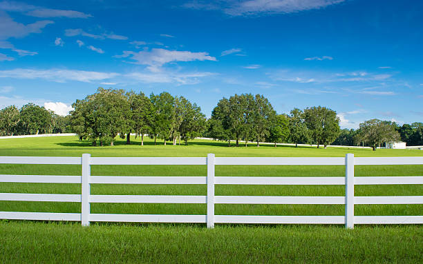 horse country à ocala, floride - farm fence photos et images de collection