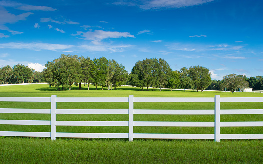White fencing in a horse paddock in Ocala, Florida with green grass, oak trees and blue sky.