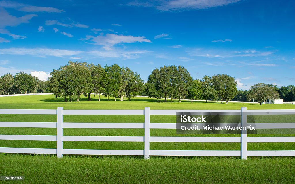 Horse Country in Ocala, Florida White fencing in a horse paddock in Ocala, Florida with green grass, oak trees and blue sky. Fence Stock Photo