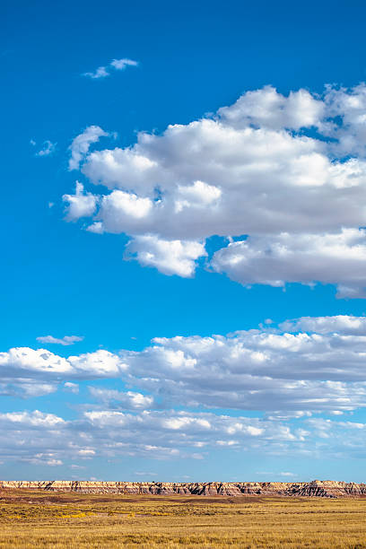 istock Arizona desert landscape. 598783742