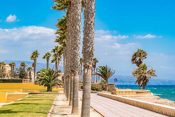 istock Palm trees growing on a boulevard in southern spain 598784474