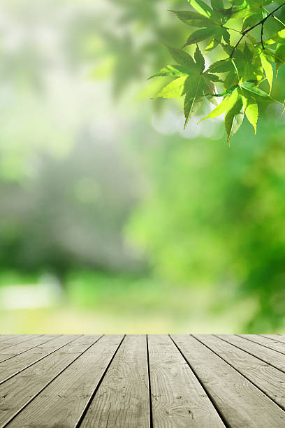istock Fresh nature background and empty wooden. 598787214