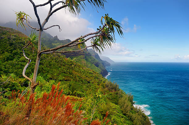 istock Kalalau trail in Kauai, Hawaii 598787330